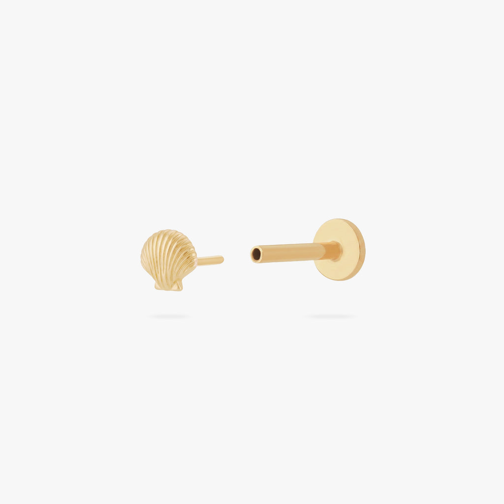 14K Seashell Flatback