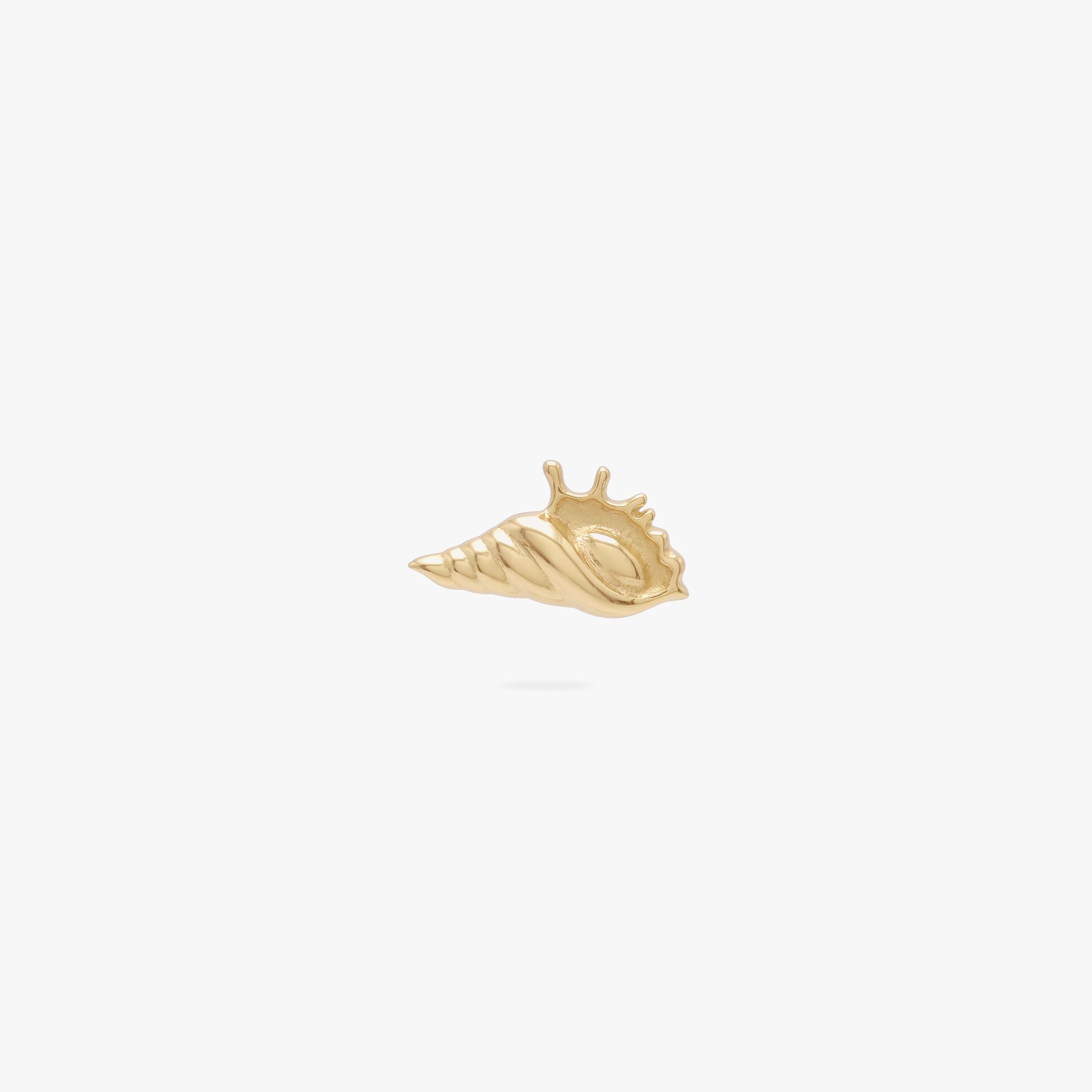 14K Conch Shell Flatback